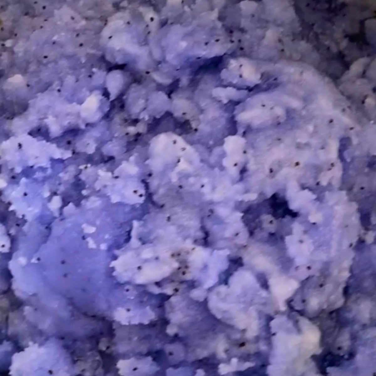 EUCALYPTUS + LAVENDER BODY SCRUB